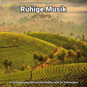 Download track Ruhige Musik Pt. 20 Entspannungsmusik