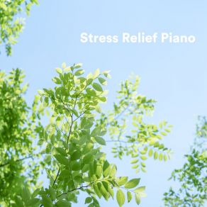 Download track In Your State Of Mind Stress Relief Helper