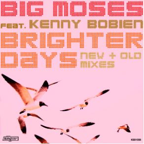 Download track Brighter Days (New & Old Mixes) (Stephane'S Liquid Club Mix) Kenny Bobien, Big Moses