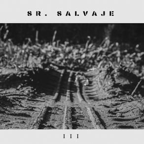 Download track Ny 1969 Sr. Salvaje