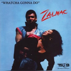 Download track What I Am Doing Zalmac