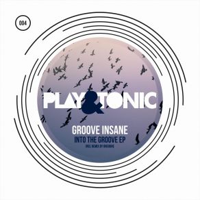 Download track Into The Groove Original Mix Groove Insane