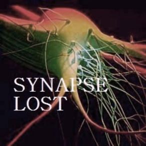 Download track Strawberries Synapse Lost