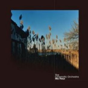 Download track Ma Fleur Cinematic Orchestra