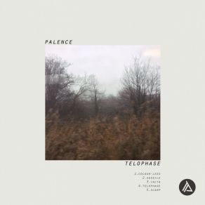 Download track Colour-Less Palence