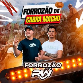 Download track Boi Cigano Forrozão RW