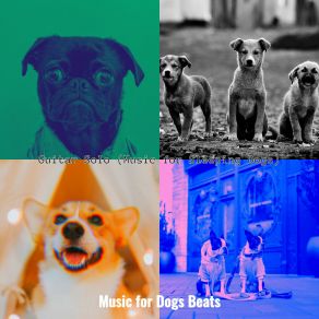 Download track Cheerful Moods For Lonely Dogs Music For Dogs Beats