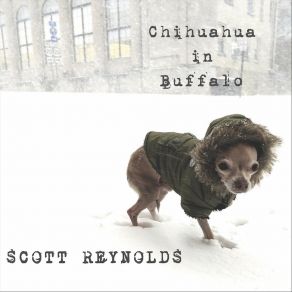 Download track If I'm Alright Scott Reynolds