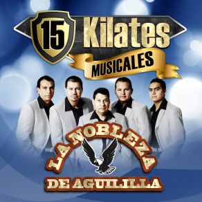 Download track Por Una Mujer Bonita La Nobleza De Aguililla