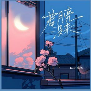 Download track 若月亮没来 (DJ小瑞版) 小瑞