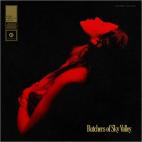 Download track What The Devil Don't Say Butchers Of Sky Valley