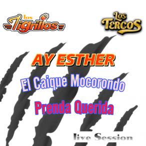 Download track Ay Esther (Live Session) Los Tercos