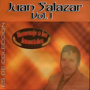 Download track Clavel De Primavera Juan Salazar