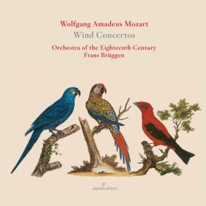 Download track Oboe Concerto In C Major, K. 314: III. Rondo. Allegretto Frans Brüggen Orchestra Of The 18th CenturyFrank De Bruine