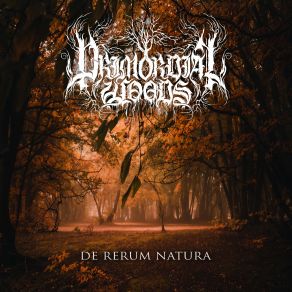 Download track Animus Et Anima Primordial WoodsANIMA!