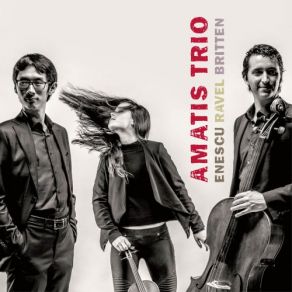 Download track Piano Trio No 1 In G Minor: IV. Presto Amatis Trio