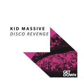 Download track Disco Revenge (Original Mix) Kid Massive