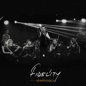 Download track Yozgat Sürmelisi Fidelity Symphonics