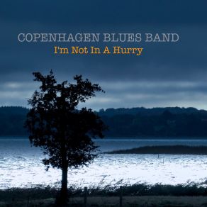 Download track Get A Hobby Copenhagen Blues Band