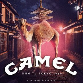 Download track Neon Magic (Live) Camel