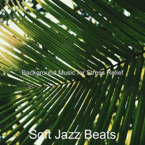 Download track Jazz Piano Solo - Vibes For Anxiety Soft Jazz Beats