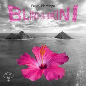 Download track In The Spirit Of Ono Pascal Plantinga