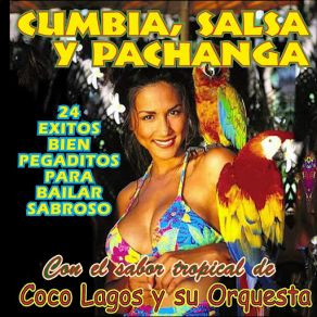 Download track Medley: Mas Cumbias Pegaditas: Presumida / Noche Melodiosa / La Danza De La Chiva / Mi Burrita / Don Goyo Coco Lagos Orchestra