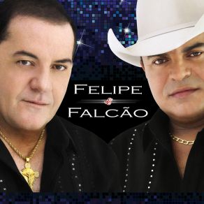 Download track Parar De Beber Pinga Nóis Nao Para Felipe E Falcão