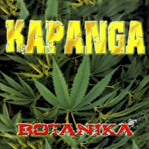 Download track En El Camino Kapanga