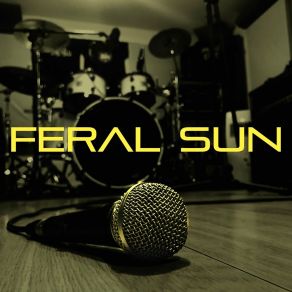 Download track Blame Feral Sun