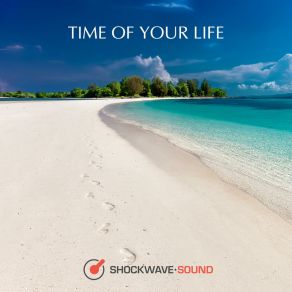 Download track Living In Style Shockwave-Sound