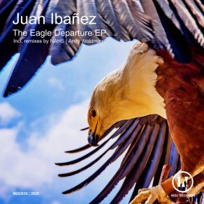 Download track The Eagle Departure Juan Ibanez