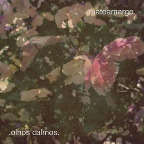 Download track Olhos Calmos Anum Preto