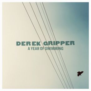 Download track Ana Derek Gripper