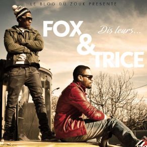 Download track Dis Leurs THE FOX