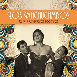 Download track Casamiento De Negros Los Machucambos