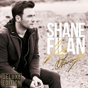 Download track Unbreakable Shane Filan