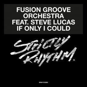 Download track If Only I Could (Liem Remix) Fusion Groove OrchestraSteve Lucas