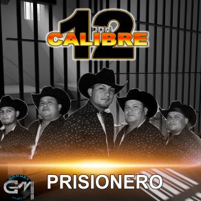 Download track Es Mi Gusto Calibre 12