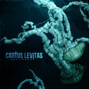 Download track Ferne Ufer Cantus Levitas