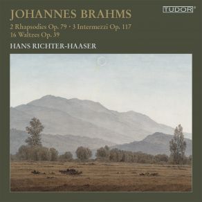 Download track Waltzes For Piano, Op. 39 No. 3 In G Sharp Major Hans Richter - Haaser