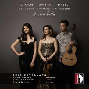 Download track Ave Maria, Op. 52 No. 6, D. 839 (Arr. N. Coste For Voice & Guitar) Trio CavallaroGuitar, Simon Thielke