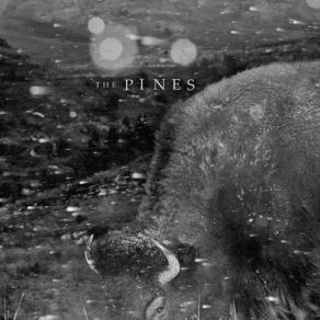 Download track The Light Pt. Ii' The Pines