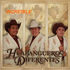 Download track El Rebozo Huapangueros Diferentes