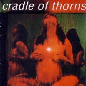 Download track Dysfunctional Brady Bunch Cradle Of Thorns