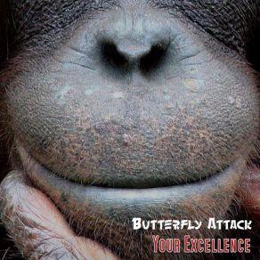 Download track Your Excellence Butterfly Attack