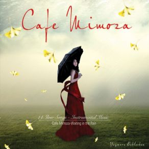 Download track Senin Için Cafe Mimoza