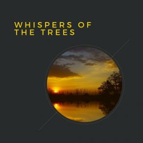 Download track 1 Hour Of Distant Wind In The Forest, Pt. 23 Nature Recordings