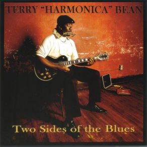 Download track Why You Do Me Like You Do The Cornlickers, Terry Harmonica Bean