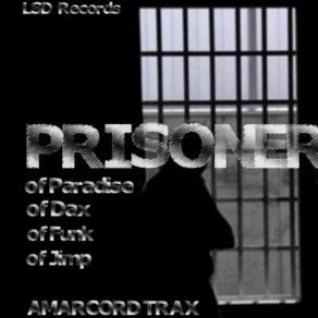 Download track Prisoner Of Funk Amarcord Trax